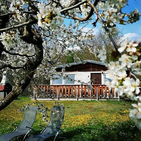 Chiara, Suedharz, Harztor Semesterbostad