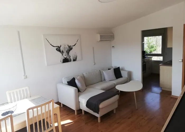 Chiara, Suedharz, Harztor Semesterbostad Ilfeld