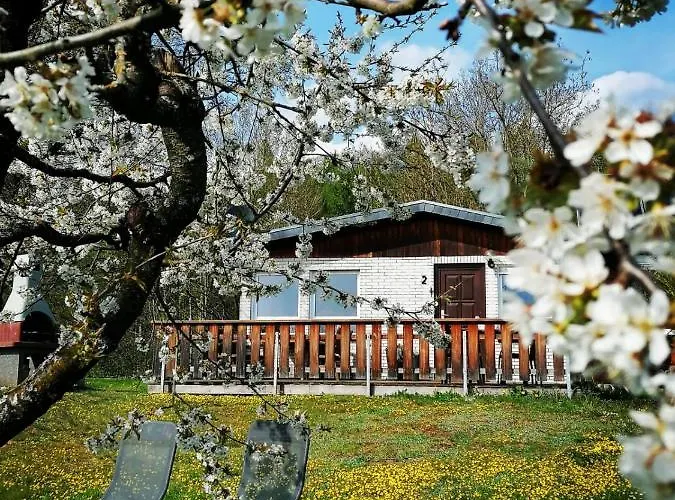 Chiara, Suedharz, Harztor Semesterbostad